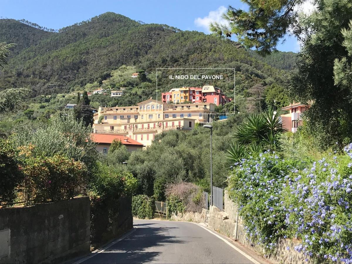 Il Nido Del Pavone Apartment Monterosso al Mare Bagian luar foto